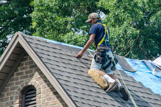 Best Local Roofing Companies  in Redfield, SD